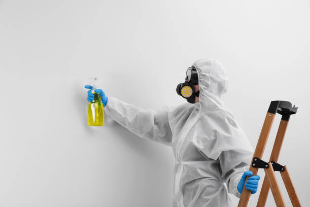 Best Mold Odor Removal Services  in Cedar Rapids, IA